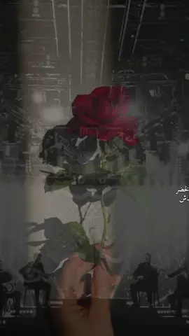 #حاتم_العراقي #تصميمي #تصميم_فيديوهات🎶🎤🎬 #مجرد________ذووووووق🎶🎵💞 