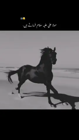 Beshak🙌🏻🫠👥 #millionaudition #aesthetic #aestheticedits #foryou #poetrystatus 