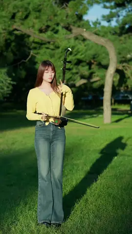 鸿雁 - Hong yan #二胡 #chinesemusic #musicmandarin #instrumental #viralpost 