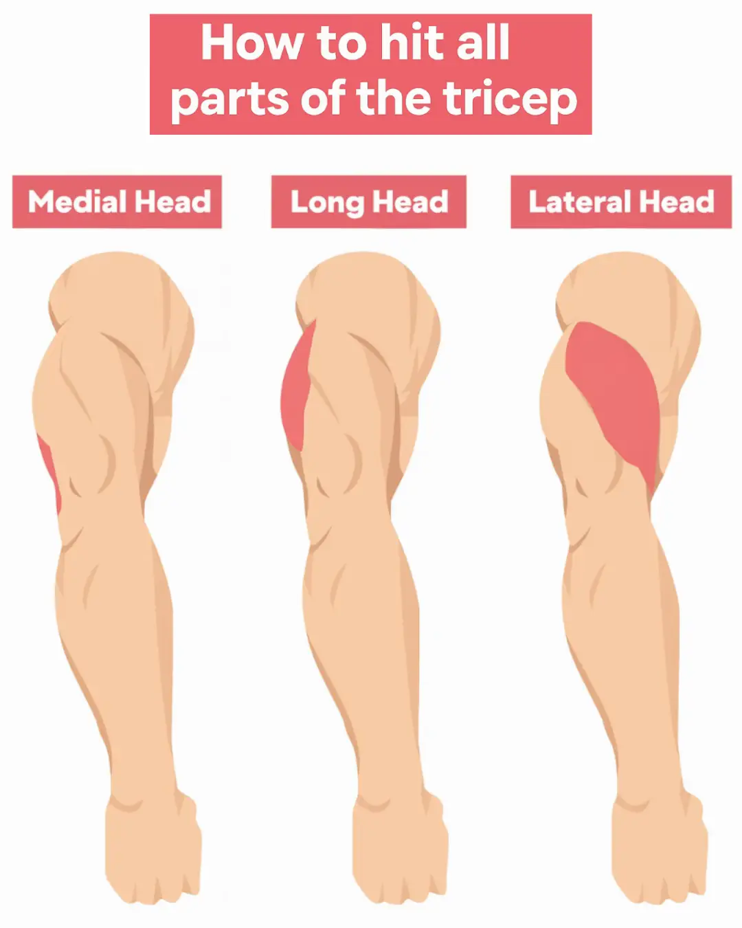 #tricepsworkout #triceps #gym #foryoupage #viral 