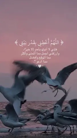 (اللهم أعطني بقدر نيتي فإني لا أنوي بأحدٍ إلا خيرًا، وارزقني أجمل مما أتمنى وأكثر مما أتوقع وأفضل مما أدعو)🤍🌿#يارب❤️ 