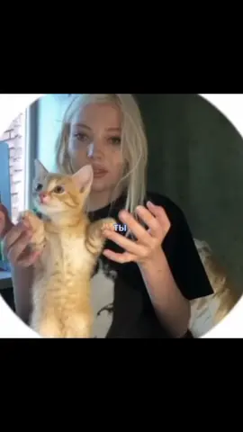 ну да, Юля финнес, Паша техник, иэх #юляфиннес #пашатехник @JULIAAFINESS #щпостик #щпост #щпгрустные #щитпостинг #щп #щпдослез #щитпост #парадокс 