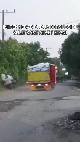 Sepulu, Bangkalan. Terlihat sebuat truk yang membawa pupuk bersubsidi dibagikan dipinggir jalan bukan di titik penyalur yang ditetapkan pemerintah, ini sudah mengarah ke praktek penyalur ilegal. Harusnya pupuk bersubsidi dikirim ke, kios pengecer, Gapoktan, Pokdakan, atau koperasi. Apakah ada yang membekingi mereka ? @pupukindonesia  #pupukbersubsidi #penggelapan 
