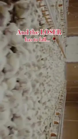 Mes sucres ☹️🫶