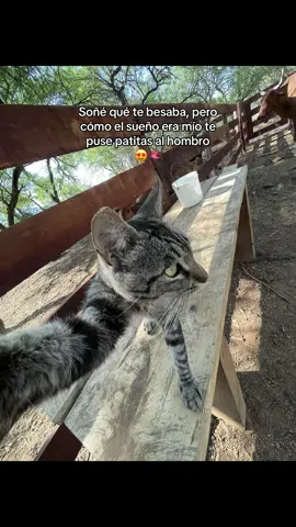 #fypage #soytilin #paratiiiiiiiiiiiiiiiiiiiiiiiiiiiiiii 