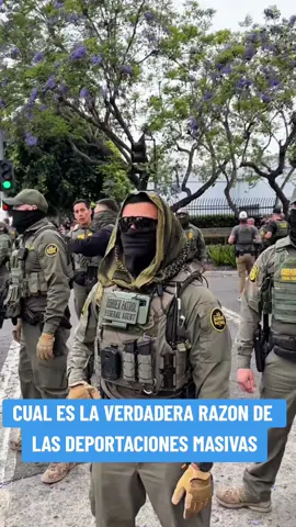 #paratii #redadas #noticias  REDADAS MASIVAS Y DEPORTACIONES 