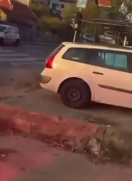 жарково бежанија! #grobari #ultras #pravdazagrobare #hardcore 