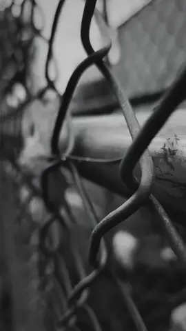 (فإن مع العسر يسرا ، إن مع العسر يسرا)#‏سَتَفْرِج…🌹#الحمدلله_دائماً_وابداً💚 