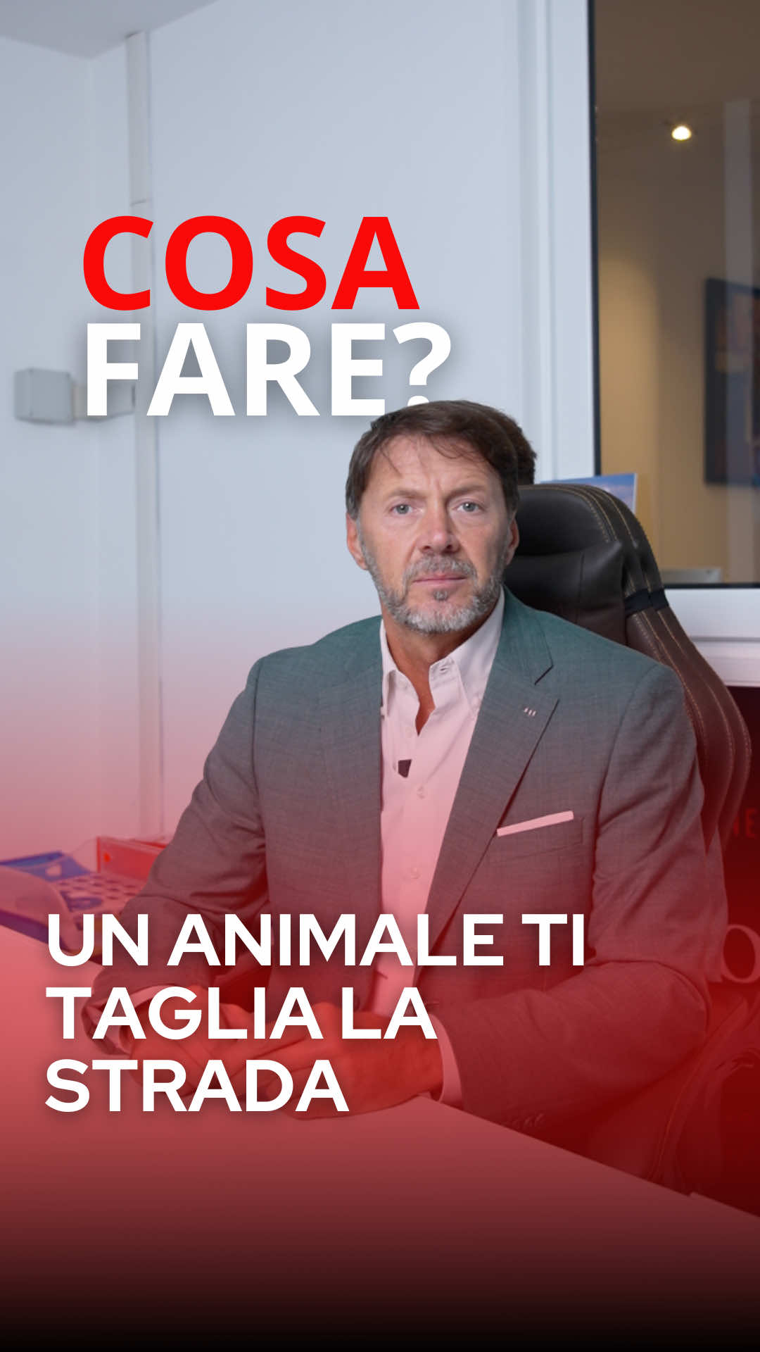 🐗💥 Un cane o un cinghiale ti tagliano la strada e… BUM! Non è solo sfortuna: puoi chiedere il risarcimento. Quando succede, in pochi sanno cosa fare. Ecco i 3 passaggi che ti salvano la pratica 👇 Guarda il reel! Tu passa tutto al nostro legale: lavorerà per ottenere il risarcimento che ti spetta, senza stress e senza pagare 1 euro. 👉 Salva questo video: in caso di incidente sai chi chiamare, We Love Your Bike! 📞 800 68 48 19 #wlyb #weloveyourbike #incidentestradale #sinistrostradale #infortunistica               