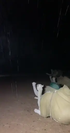 يالبيه اسمعو صوت الرعد😘🤗⛈️ #الشتاء_البرد_اجواء_شتويه #ترند #اكسبلور #مشاهير_تيك_توك #اكسبلور 