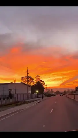 That's what I heard😅#fyyppppp#followers#png