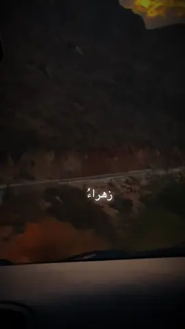 يا زهراء 💔#لبنان_العراق_الامارات_السعوديه_مصر_تركيا #سيد_سلام_الحسيني #فاطمة_الزهراء 