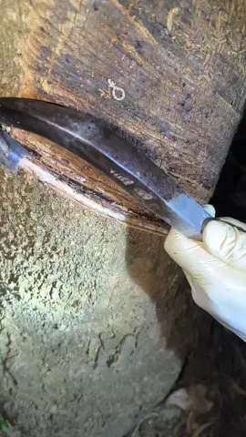 #กรีดยาง #ยางก้อนถ้วย #tiktok #เปิดหน้ายาง 