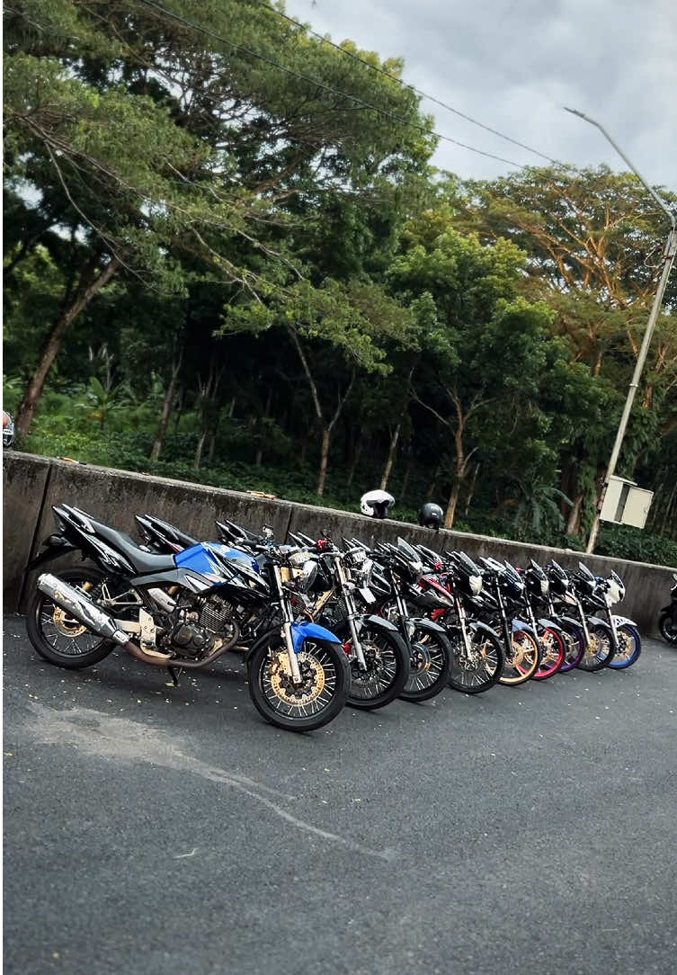 pertigeran i’am back🖐️🤩 #tigertazara #tigergank🤙 #tigermaniaindonesia 