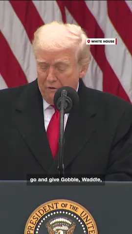 President Trump pardoned turkeys Gobble and Waddle ahead of Thanksgiving at the White House.