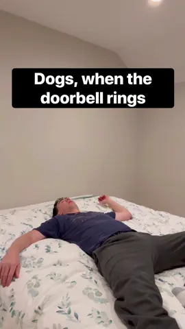 It’s an emotional roller coaster . #comedyreels #comedy #doghumor #comedyvideo 