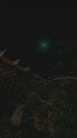 #Shiikh Mustafa #capcat #fyp  @ᖇOTI🎭 