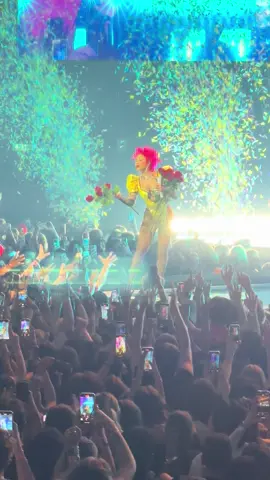 Who got a rose 🌹 #dojacat #concert #melbourne #tourmavie 