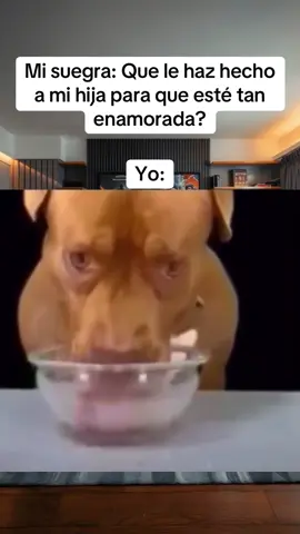 #CapCut #LIVEIncentiveProgram #SpareMomentsLIVE #PaidPartnership 