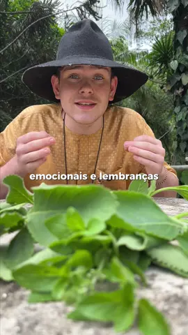 Se a saudade não passa… se a mente repete o nome sem querer… se o peito pesa mesmo depois do fim… isso não é amor. É vínculo energético ativo. Tem conexão que segue mesmo depois do último abraço. Tem lembrança que não volta — mas continua vivendo dentro de você. Esse banho não é pra apagar história. É pra encerrar o laço invisível que ainda ocupa teu corpo, teu campo emocional e tua energia. Boldo: Aquieta pensamentos agitados, corta o excesso mental e traz clareza emocional. Manjericão: Fortalece bons pensamentos, protege o campo mental e limpa memórias repetitivas. Quando juntos, eles criam equilíbrio entre corpo, mente e alma. Trazem leveza, paz, presença e uma sensação real de descanso interno, como se algo finalmente soltasse. Esse banho é pra quando você sente: • dificuldade de seguir em frente • lembranças que voltam sem motivo • saudade que vira ansiedade • comparação constante com o passado • sensação de perda, falta ou vazio Se você leu e sentiu arrepio… não ignora. O corpo reconhece a cura antes da mente aceitar. QUANDO FAZER Lua Minguante:  corte e desapego Lua Cheia:  limpeza emocional profunda Lua Crescente: reconstrução e fortalecimento Lua Nova: recomeço energético Pode ser feito em: Segunda, quarta, sexta, sábado ou domingo. ( 6h-12h ou 18h-21h ) COMO FAZER • 7 galhos de manjericão ( homens 9 galhos ) • 7 folhas de boldo ( homens 9 folhas ) • 1 litro de água temperatura ambiente Macerar com as mãos,sem pressa, ativando a sua intenção. Tome seu banho normal. Depois jogue do pescoço pra baixo, dizendo: “Eu devolvo o que não é meu… e recupero a minha paz.” Diga como quem encerra um contrato. Com firmeza. Com presença. DEPOIS DO BANHO • Não procure • Não revise conversas antigas • Não se culpe por soltar • Evite música triste • Respire fundo • Se possível retire um tempo para descansar Segue a casa de Zé E faz o simples que funciona. #juremasagrada #jurema 