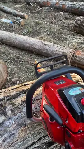 “BU VİDEODAN SONRA TELEFONLAR SUSMADI! 📞🔥 Müşteri Şovu!” Dün teslim ettiğimiz Archer 7200’ün müşteri memnuniyeti videosu geldi! Kardeşimiz makineyi test etti, performansına hayran kaldı ve memnuniyetini bizzat video ile iletti. İşte Archer 7200 farkı: ⚡ Çekiş gücüyle şaşırtır ⚡ Dayanıklılığıyla yıllarca üzmez ⚡ Performansıyla parasını son kuruşuna kadar hak eder Böyle memnuniyet videoları gelmeye başlayınca anlıyoruz ki: Doğru ürünü satıyoruz! Ve şu anda: 💥 Ay sonuna kadar nakit alımlarda bomba kampanya fiyatı: 8.000₺! Ayrıca: 🚫 Kapıda ödeme yoktur 📦 Türkiye’nin her yerine kargomuz mevcut 🧾 Adınıza faturalı – 2 yıl garantili Müşterimiz memnun, makine memnun, biz memnun… Sıradaki memnuniyet videosu belki de senden gelir! 🙏 📩 Sipariş & bilgi için DM yeterlidir.