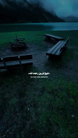 وكيف تدعوه إلى الدنيا ضرورة؟🤍✨ #شيخ_نورين_محمد_صديق #ود_حروره❤️ #اعادة_النشر🔃 #لايك__explore___ #quran 