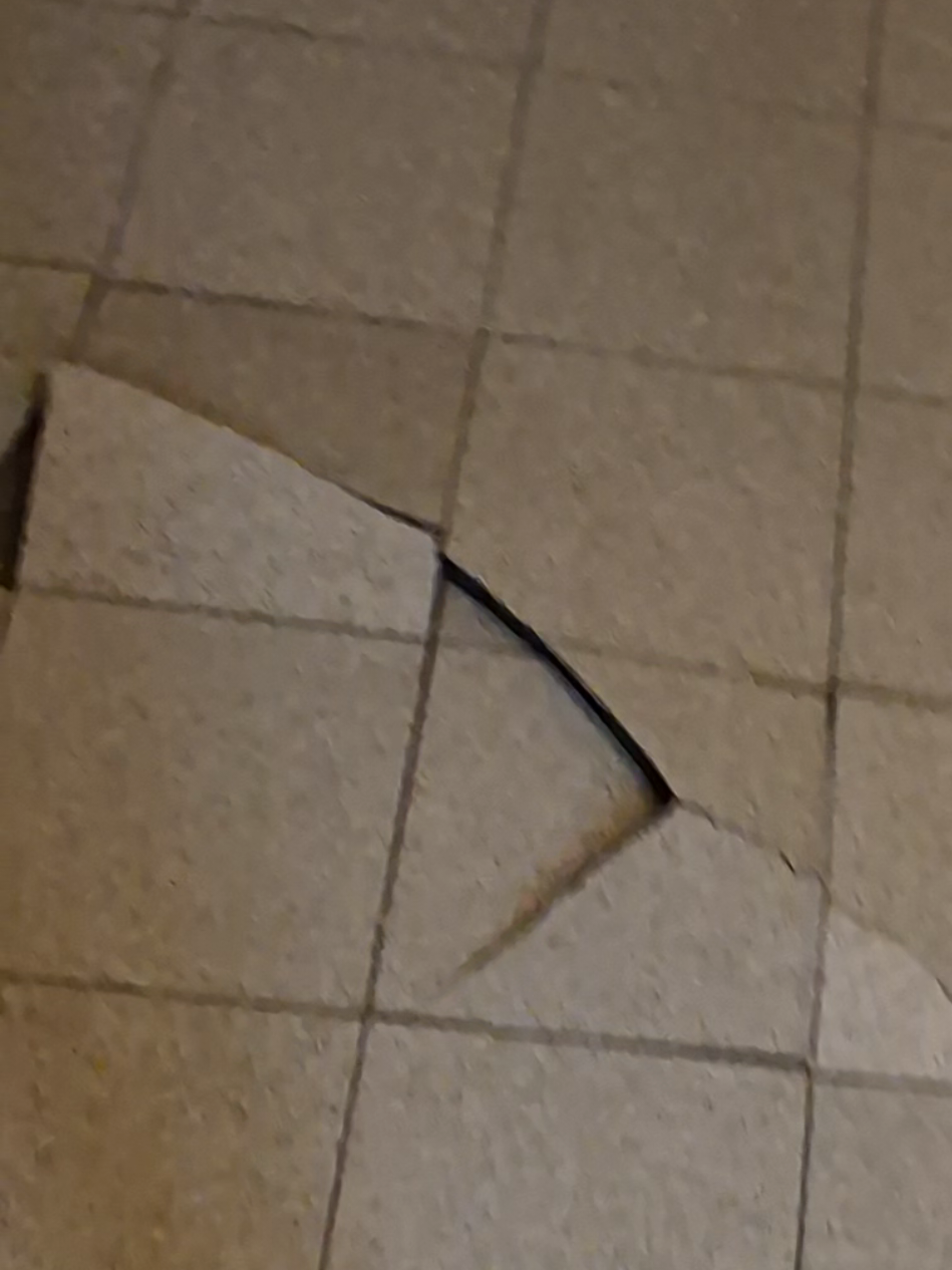 ☎️ - 3️⃣8️⃣0️⃣ 4️⃣6️⃣8️⃣ 4️⃣0️⃣0️⃣0️⃣  Posa Piastrelle , restauro bagno #Ristrutturazione #Posapiastrelle #cartongesso #rasatura #casa 