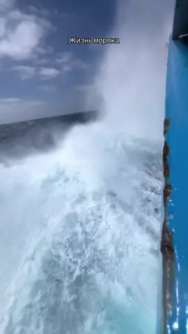 Тихий океан — место, где человек окончательно понимает, насколько он маленький. Мы идём над глубинами, которые невозможно представить. Средняя глубина Тихого океана — около 4 280 метров, но это только среднее. Под нами могут быть вертикальные провалы на километры вниз, куда не добирается ни свет, ни тепло. Самая глубокая точка планеты — Марианская впадина, с максимальной подтверждённой глубиной 10 984 м (замер миссии DSV Limiting Factor, 2019 год). Представь: под тобой — почти 11 километров воды, толщина атмосферы давит меньше, чем эта толща океана. На этой глубине давление превышает 1 100 атмосфер — это как если бы на каждом квадратном сантиметре твоего тела стоял грузовик. И вот ты стоишь на палубе. Судно идёт своим ходом. Ты смотришь вниз — и где-то внутри включается то самое древнее чувство, которое сегодня называют талассофобией. Это не «страх воды». Это страх бесконечной пустоты под ногами. Страх неизвестности, которая не имеет дна. Страх того, что человек здесь чужой. Если прислушаться, океан будто дышит. Каждая волна — это энергия, которая родилась где-то в тысячах километров отсюда. В Тихом океане бывают волны-гиганты выше 20–25 метров — и это задокументированные случаи. Такую высоту трудно принять мозгом: это девятиэтажный дом, который движется на тебя со скоростью 50–70 км/ч. К этому добавляется мегалофобия — страх огромных объектов. На глубине в океане гигантским становится всё: тени, рельеф, подводные хребты, которые поднимаются на 3–4 километра от дна, но их никто никогда не видел. Под нами лежат целые горные массивы, хребет Лау, Восточно-Тихоокеанское поднятие — они выше Альп, но скрыты под толщей воды. А самое страшное — это тишина. Психологи говорят, что человеку сложно представить «ничего». В океане под нами — именно оно. Если убрать воду, мы увидели бы огромные пропасти, каньоны, пики, склоны, которые уходят в темноту, сравнимую с космосом. Свет проникает лишь на 200 метров, дальше — полная чёрная ночь. Иногда я смотрю за борт — и чувствую холод не от воды, а от мысли: мы стоим на тонкой стальной коробке, а под нами 11 километров бездны, каждая капля которой способна раздавить всё, что когда-то построил человек. Вот почему талассофобия — это не слабость. Это нормальный ответ мозга на понимание масштаба. А в Тихом океане масштаб — запредельный.