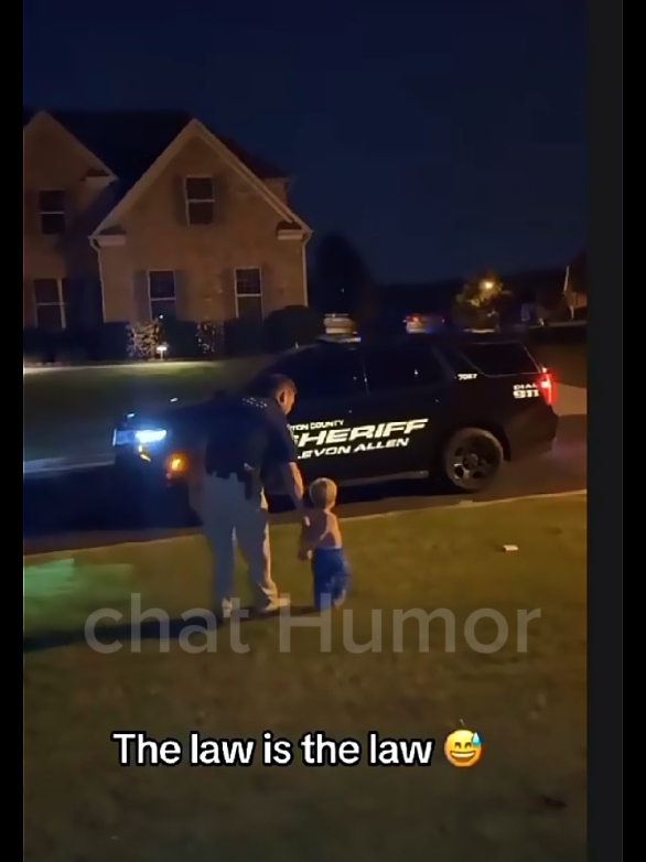 no one is above the law😁😂. #trending #humor #fyp #funnytiktok #reels_ 
