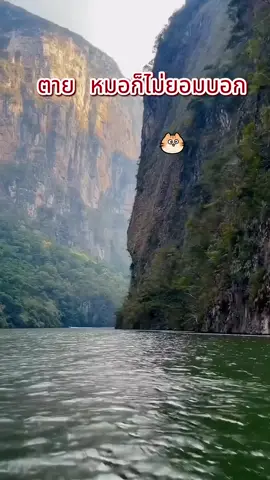 คิดว่ามีแค่เราคนเดียว  ที่ใช้แชมพู OFSC. สระแล้วรู้สึกสะอาด.  3 วันไม่สระก็ไม่มัน.  เพื่อนๆเขาก็ใช้กัน