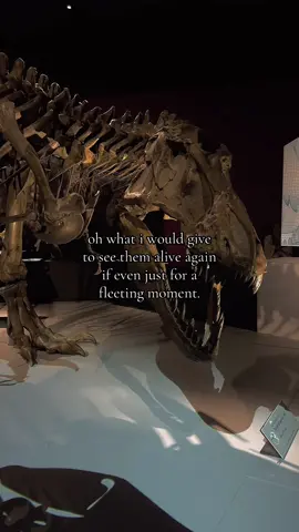 they will never know how much they are loved. // #dinosaur #tyrannosaurus #beautiful #fypp #viral 