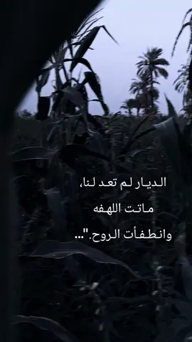 الـديـار لـم تعـد لـنا، مـاتـت اللهـفه  وانـطـفـأت الـروح.