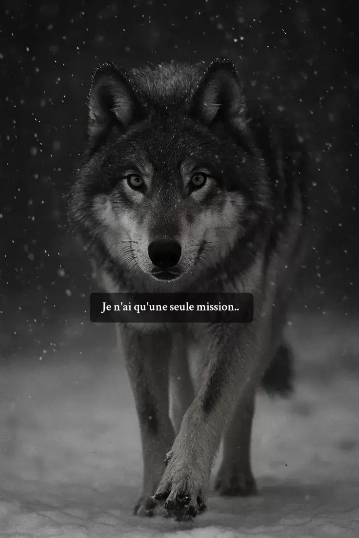 #europe #conseil #videos #motivation 