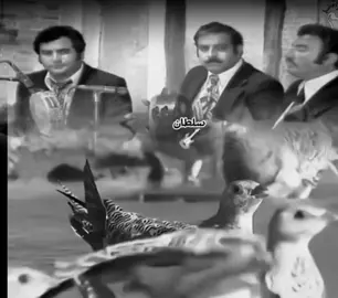 #altrb123🎬  سهام محمد  بين العصر والمغرب ___ مجرد ذوق 