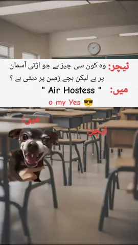 o my Yes 😂😂  #foryou #foryoupage #funnymemes #dogesh #viral 