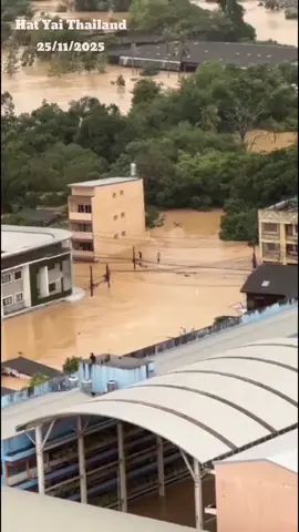 Hat Yai, kota terbesar di Provinsi Songkhla, Thailand selatan, saat ini sedang dilanda banjir besar dan parah yang memaksa dilakukannya evakuasi massal terhadap warga dan ribuan wisatawan.  Berikut adalah detail situasinya: Keadaan Darurat: Otoritas Thailand telah menetapkan Hat Yai sebagai zona bencana bendera merah setelah hujan deras yang meluas menyebabkan banjir perkotaan. Pemerintah provinsi Songkhla mengumumkan status bencana pada Senin pagi, 24 November 2025. Tingkat Keparahan: Banjir ini digambarkan sebagai salah satu yang terburuk dalam 300 tahun terakhir, dengan curah hujan yang sangat tinggi yang dimulai sejak akhir pekan lalu. Air sungai meluap hingga merendam seluruh dek jembatan di area Jembatan Rama I. Dampak: Kota Hat Yai dilaporkan lumpuh total, dengan gangguan listrik dan terbatasnya akses terhadap makanan dan pasokan penting di beberapa wilayah. Lebih dari 1.000 wisatawan (kebanyakan warga negara Malaysia) terjebak dan sedang dievakuasi, baik dari hotel maupun Bandara Hat Yai yang aksesnya terputus. Korban: Banjir di Thailand selatan secara keseluruhan telah menyebabkan korban jiwa, dengan laporan terbaru menyebutkan sedikitnya 13 orang tewas. Prakiraan Cuaca: Badan meteorologi memperkirakan hujan deras masih akan berlanjut hingga Rabu pagi waktu setempat, yang dapat memperparah kondisi banjir bandang di wilayah tersebut.  Pihak berwenang terus berupaya mengevakuasi warga yang tersisa ke tempat yang lebih aman menggunakan perahu dan truk. #banjir #banjirbandang #hatyai #thailand #viral 