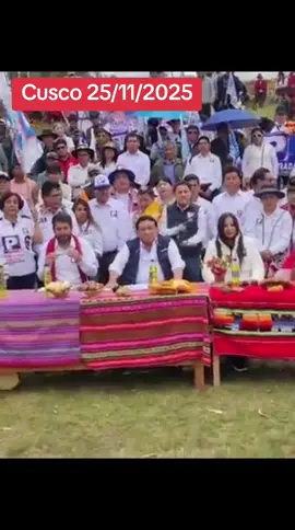 Pregunta de la periodista Lilian Luna en la presentación de elaboración plancha presidencial de Podemos . 