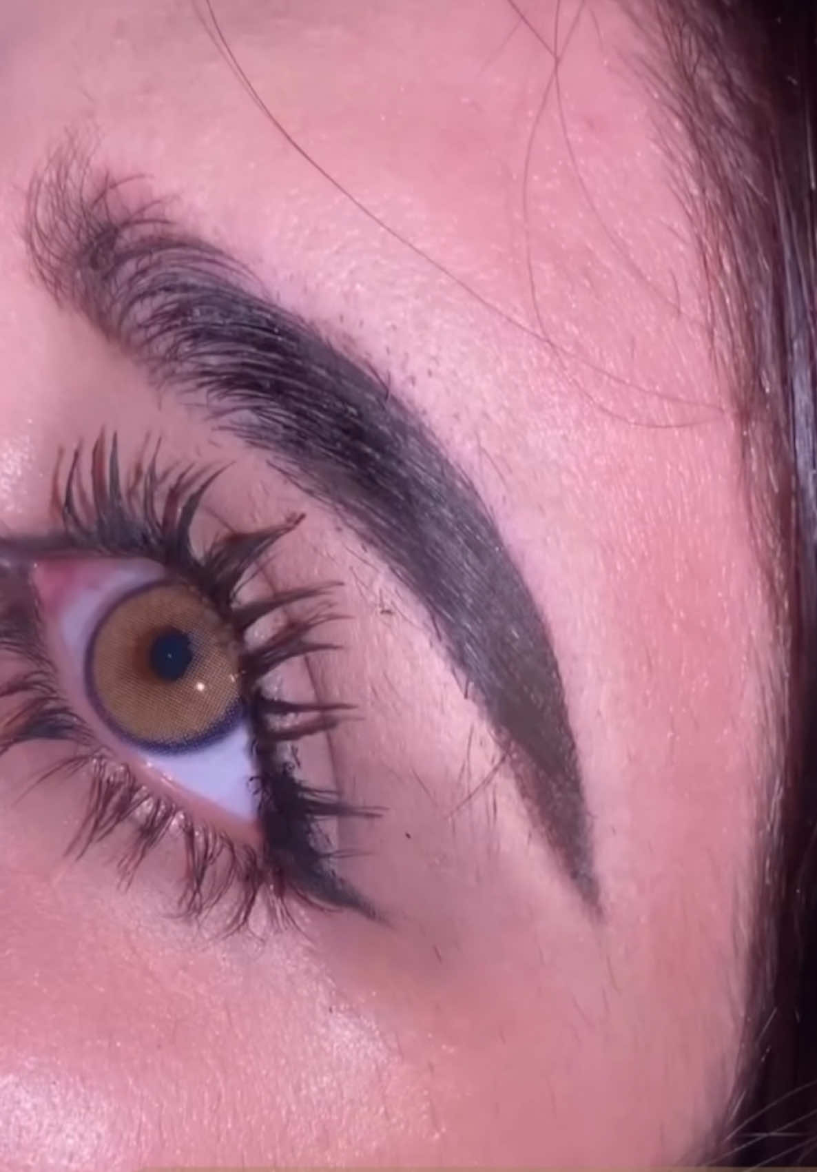 Fresh lady X flare brown  عدسة فريش ليدي لون أكس فلاير براون متاح فوري تجميلي سنوي ♥️ #بلاك_فرايدي #عدسات #freshladycontactlenses #xflarebrown #contactlenses 