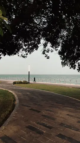 ستأتي أيام تُرضينا وَ سيكون العوض من الله أجمل 🤍#اكسبلور #fypツ #explore 