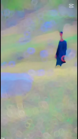 #shinasongslovers😍 