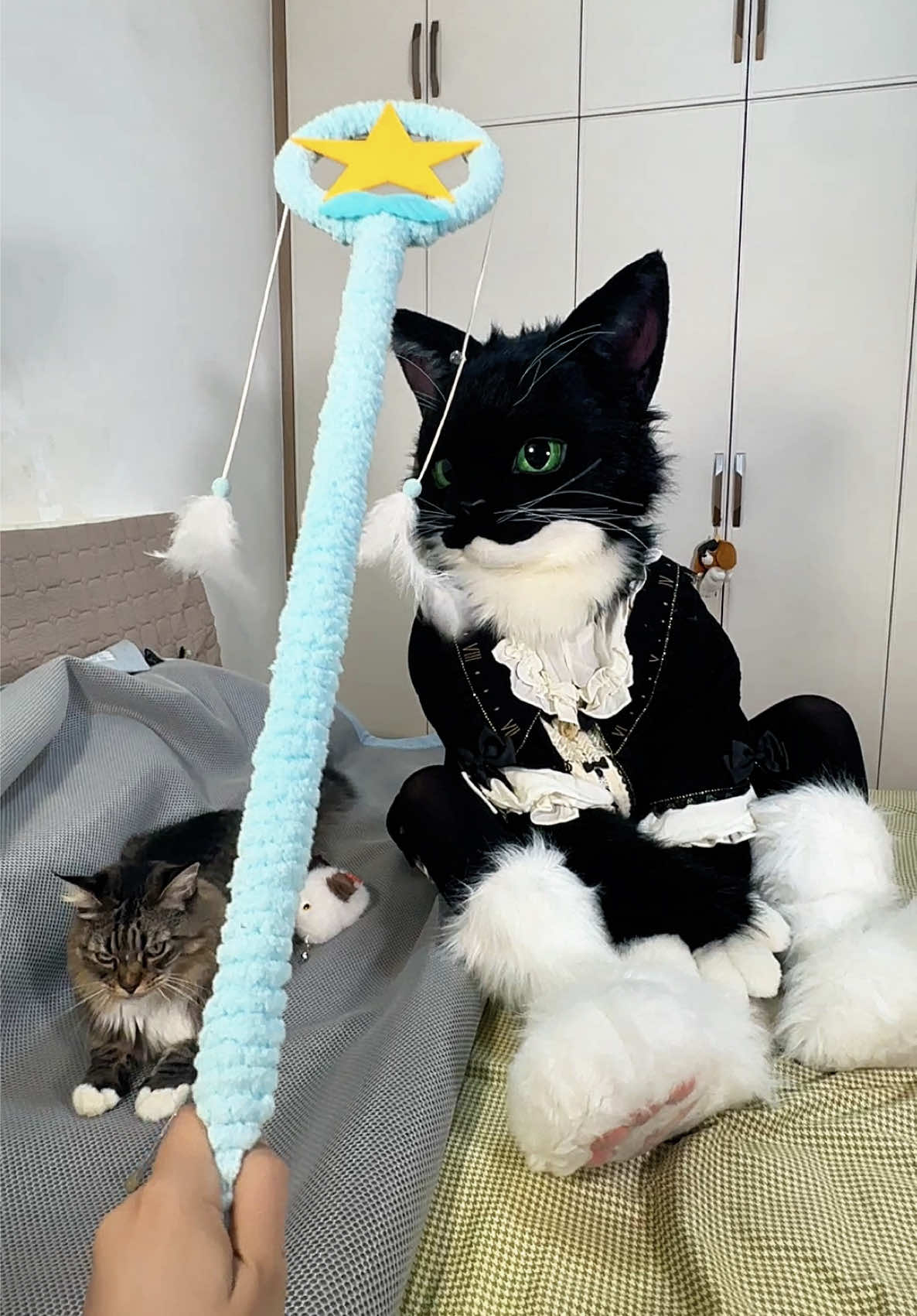 The biggest cat deserves the biggest toy! |•ˇ₃ˇ•｡) #furry #fursuit #kitty #realisticfursuit #fyp 