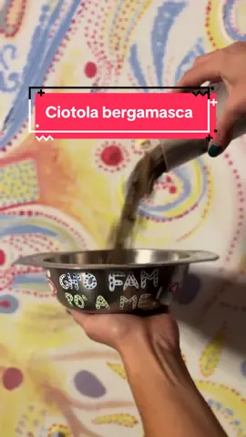 La ciotola di cui non sapevi di avere bisogno! Personalizzabile su richiesta, dipinta a mano! #ciotola #bergamo #cane #bergamasco 