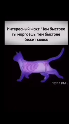 НЕ ЗАБЫВАЙ#английский#правило#симпл#урок