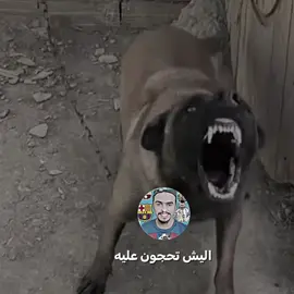 الشيخ مصطفى..  #فقوري_لاوتارو #فقوري_لاوتارو⛎ #تصميم_فيديوهات🎶🎤🎬 #تصميم_فيديوهات🎶🎤🎬تصميمي🔥 #تصميمي❤️ @الشيخ مصطفى 