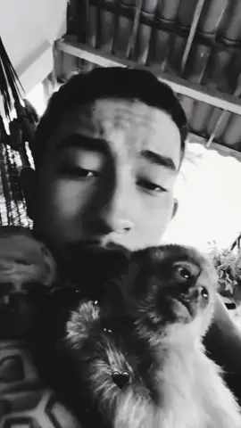 nunca vai cair a ficha.#cearensedugrau #luto🖤 