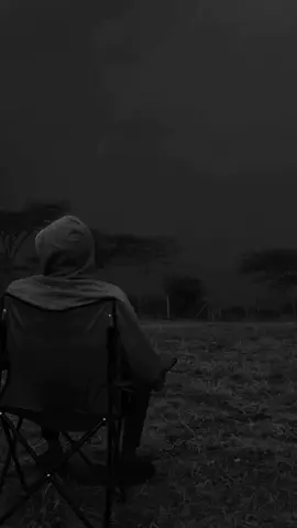 #la gran mayoría de personas no son capaces de ocuparse de los suyos propios, qué te hace pensar que lo harán  con los tuyos #ترجمة_الإسبانية 