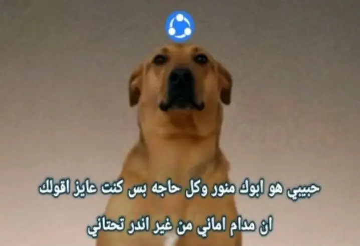 #ti̇ktok #foryoupage #fyp #fyyyyyyyyyyyyyyyyy 