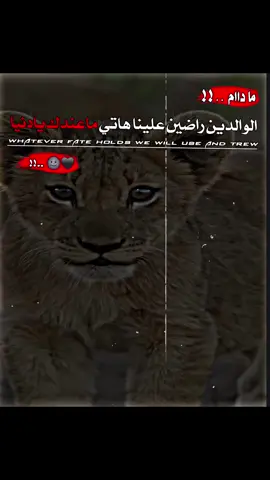 |#عبارات  #ديراوي_♕🖤  #تـصميم_ديراوي🗞🖤 