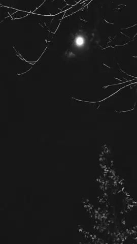 🥹❤️‍🩹🍂