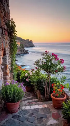 #creatorsearchinsights #NayLiN #follow #အားလုံးကိုချစ်ပါတယ်♥♥♥♥♥♥♥♥ 